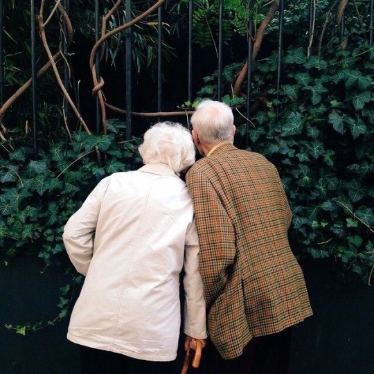 Two older adults standing together